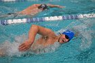 Swim vs Bentley  Wheaton College Swimming & Diving vs Bentley University. - Photo by Keith Nordstrom : Wheaton, Swimming & Diving